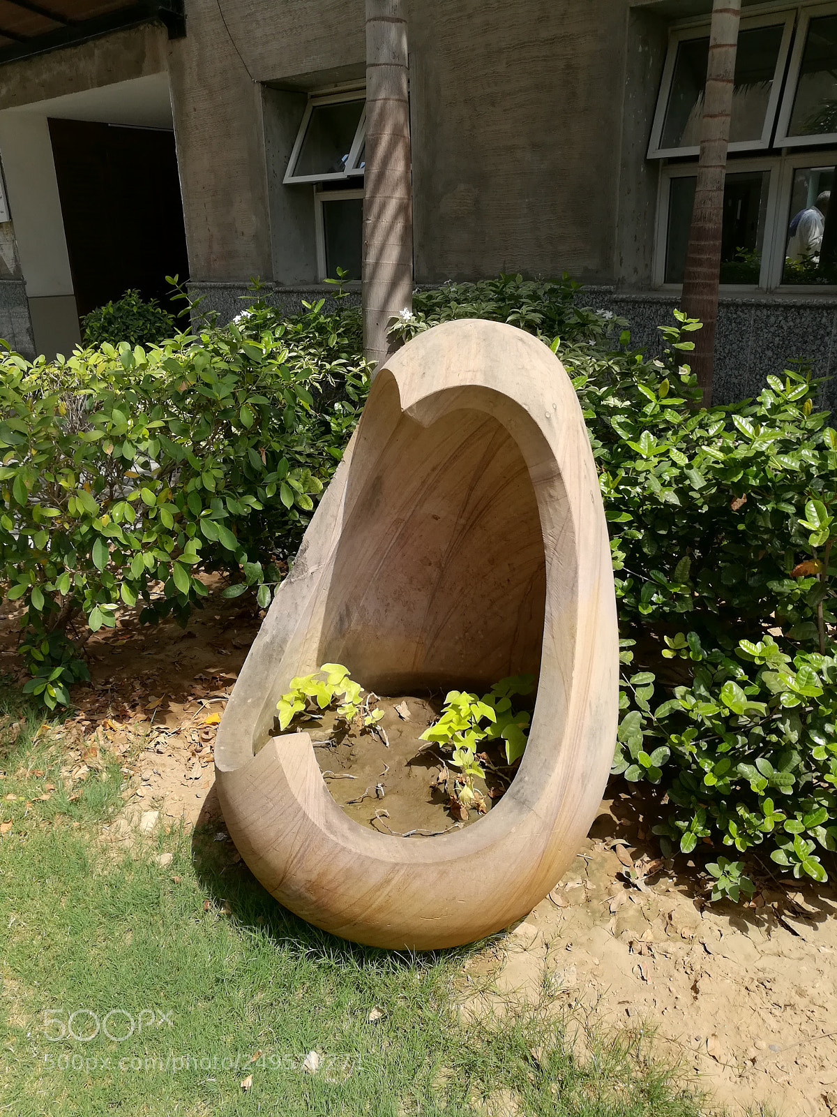HUAWEI honor 6x sample photo. Planter photography