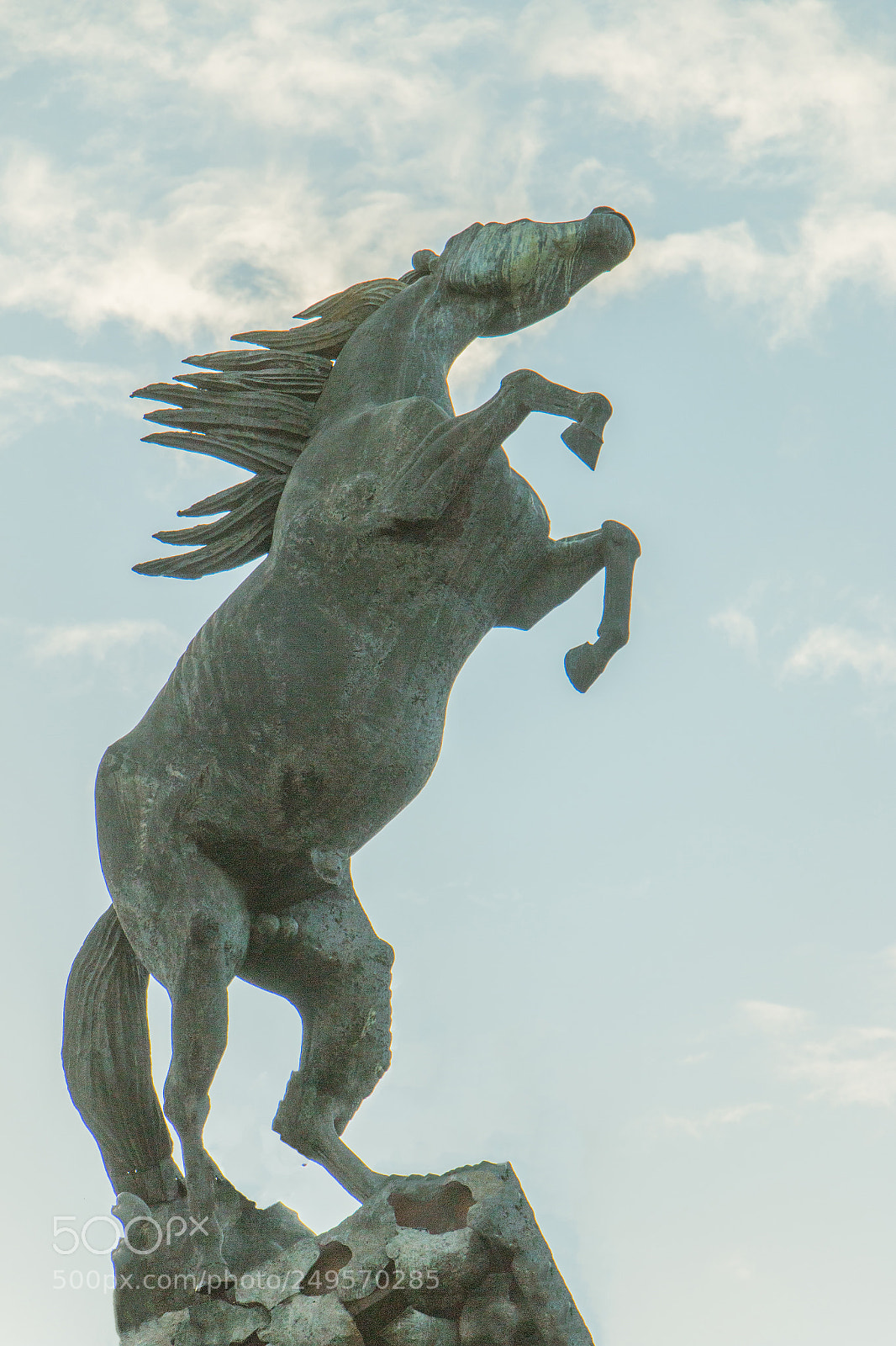Canon EOS 70D sample photo. Los caballos photography