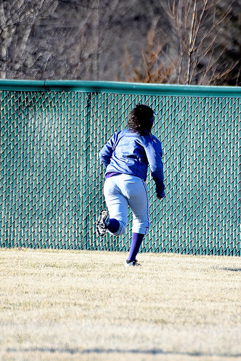 Nikon D500 sample photo. 3-14_0347.jpg photography
