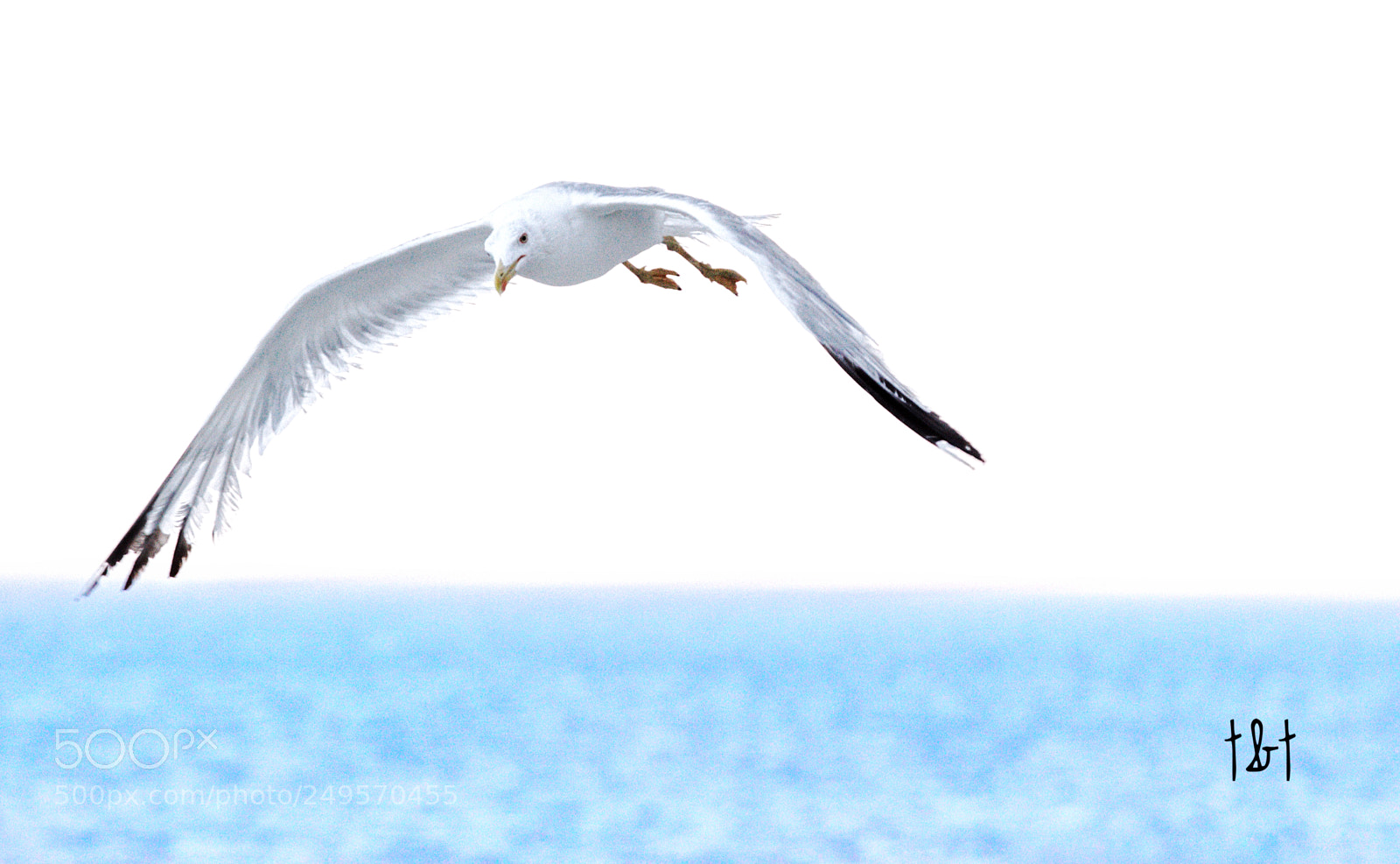 Canon EOS 7D sample photo. Untitled photography