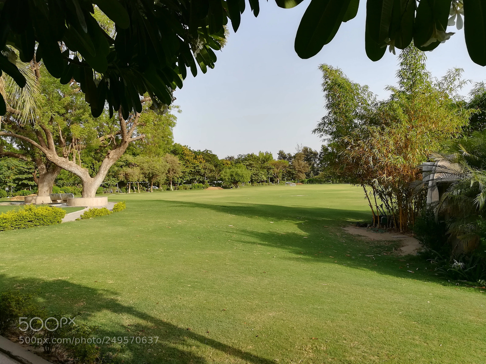 HUAWEI honor 6x sample photo. Lawn in park photography