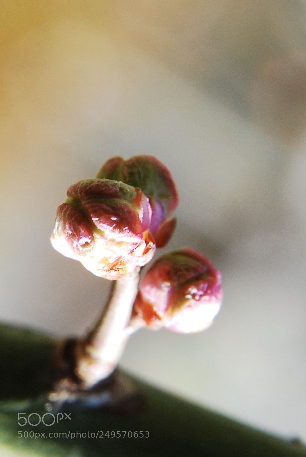 Nikon D80 sample photo. Untitled photography