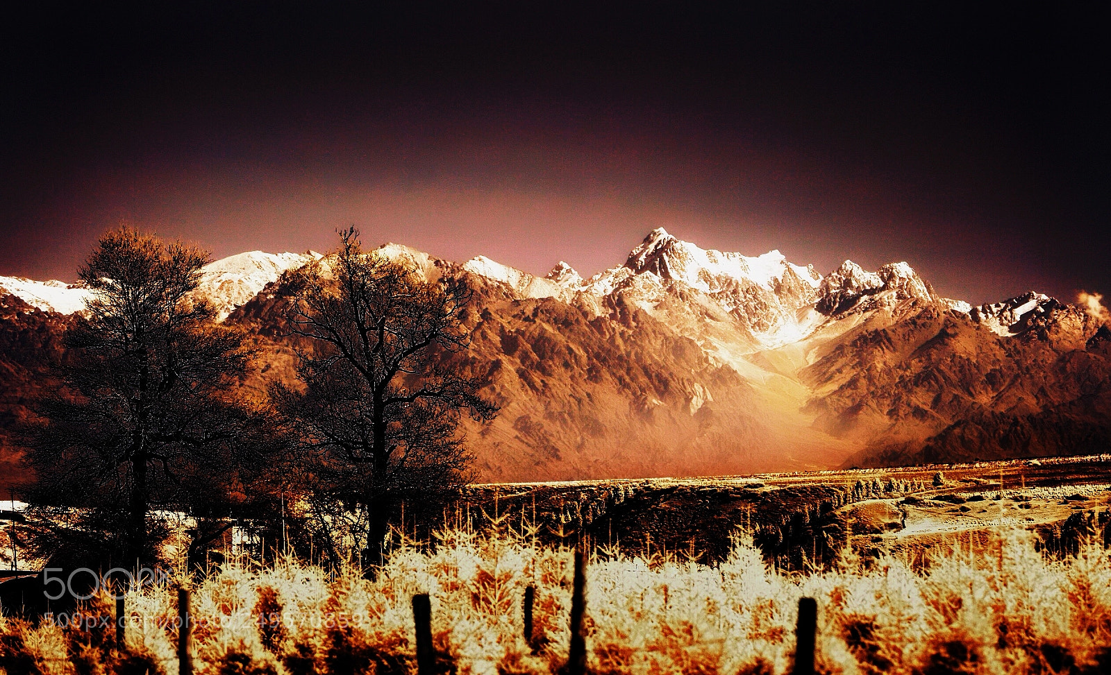 Canon EOS 5D sample photo. Xinjiang china photography