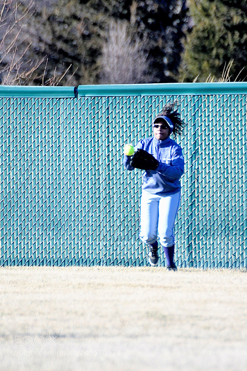 Nikon D500 sample photo. 3-14_0351.jpg photography