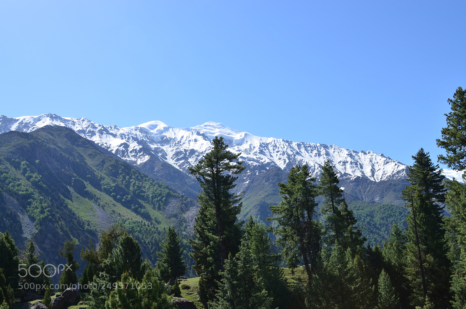 Nikon D5100 sample photo. Untitled photography