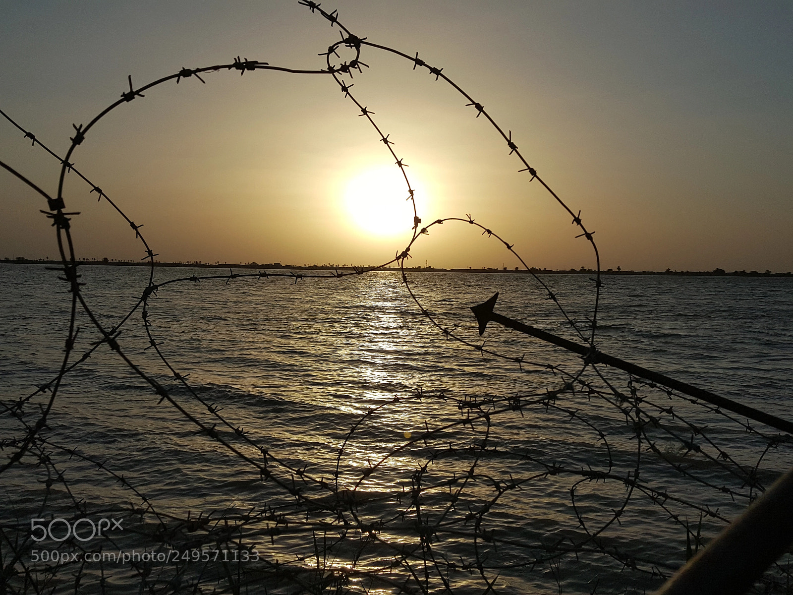 Samsung Galaxy Note5 sample photo. Untitled photography