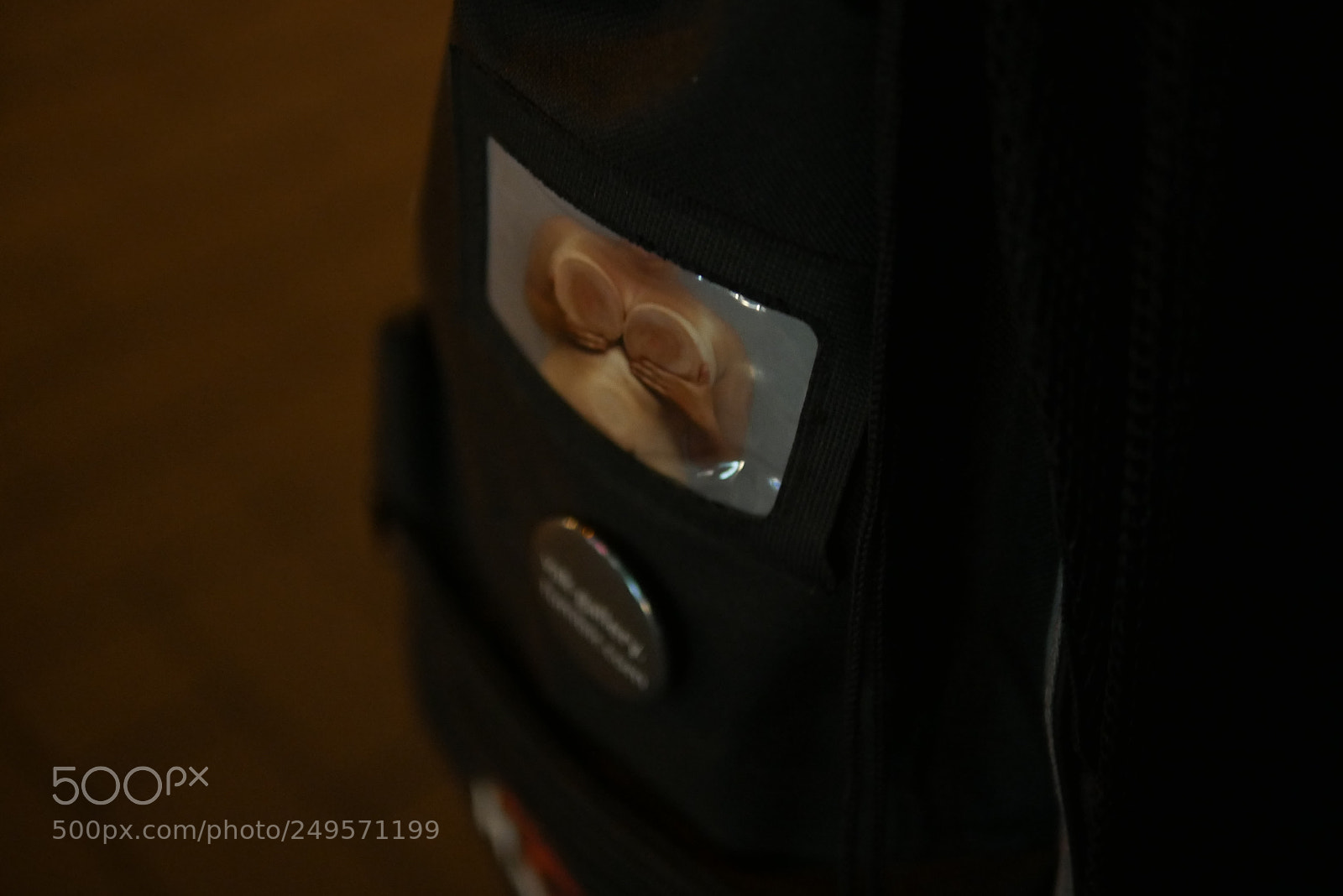 Panasonic Lumix DMC-G7 sample photo. Kate ina olivov photography