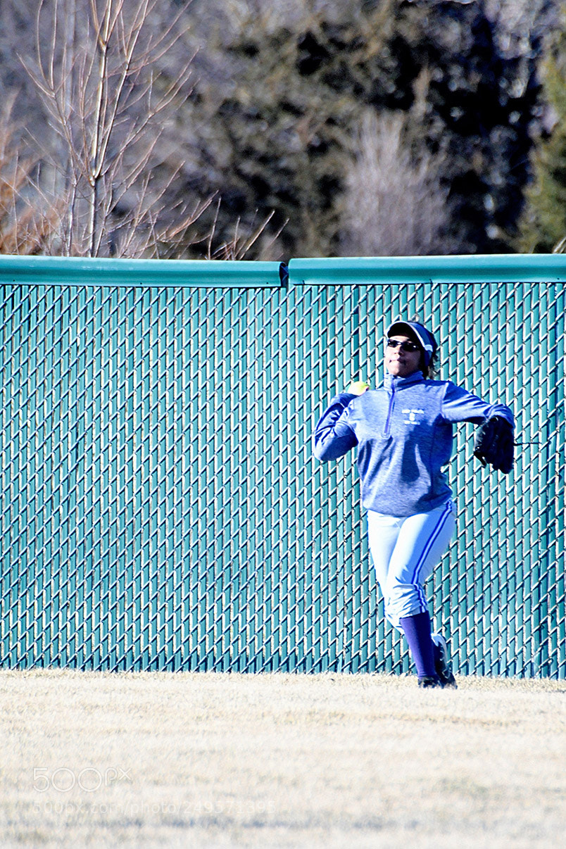 Nikon D500 sample photo. 3-14_0353.jpg photography