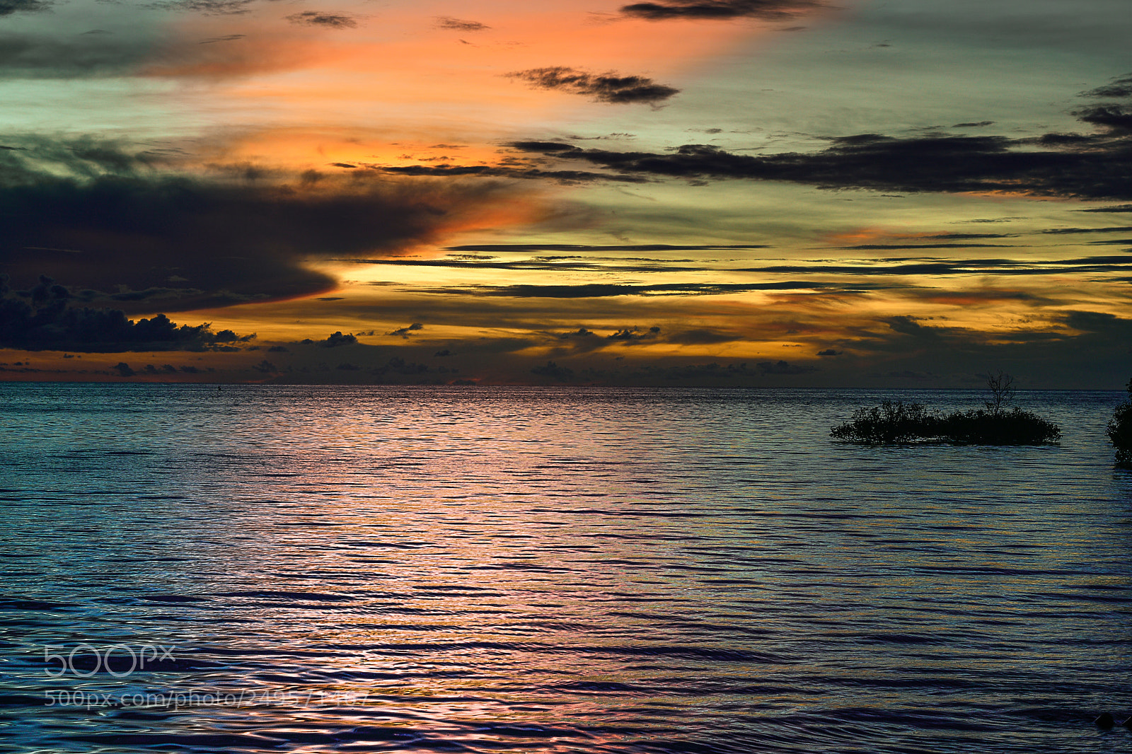 Nikon D5500 sample photo. Sunset photography