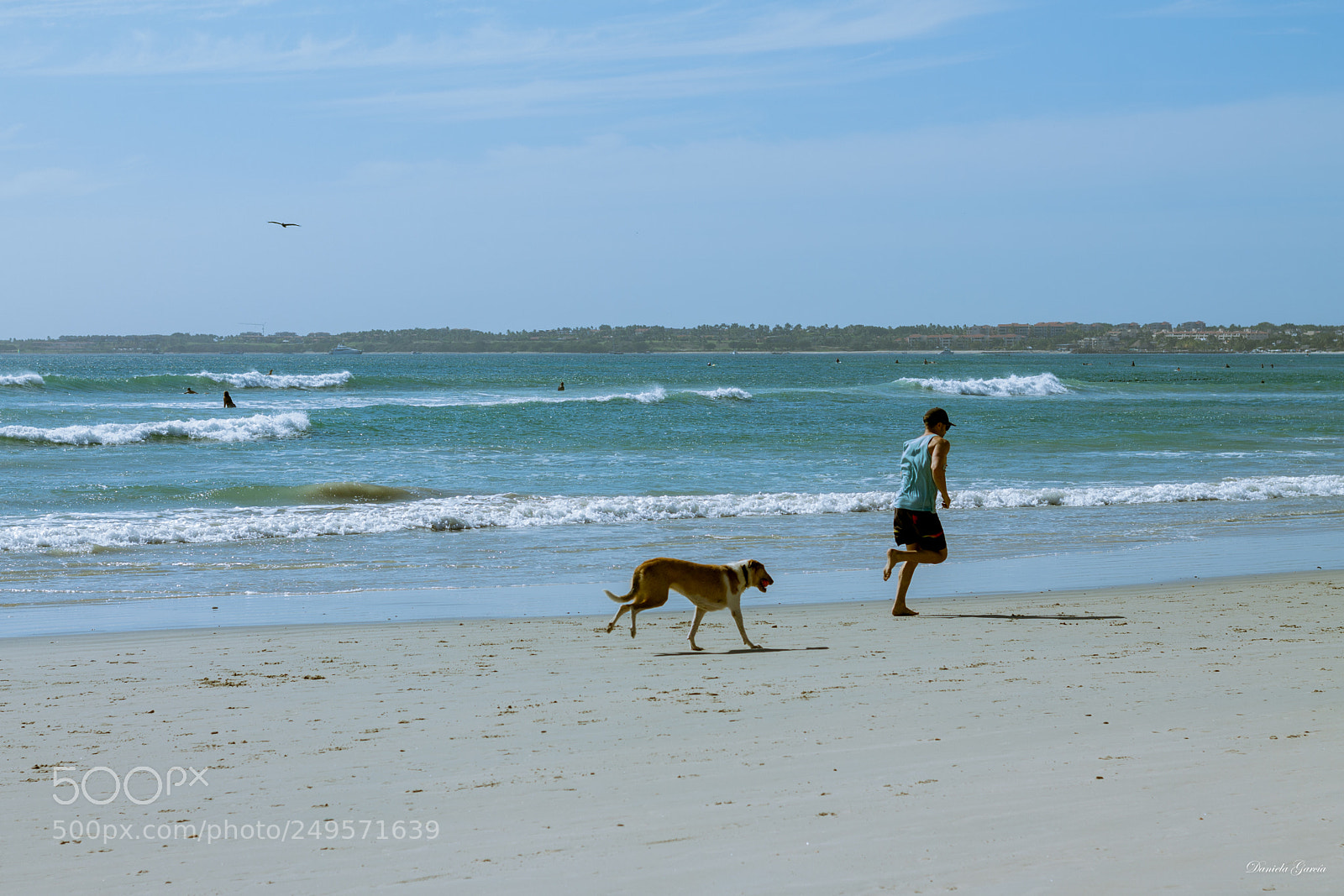 Canon EOS 1100D (EOS Rebel T3 / EOS Kiss X50) sample photo. Morning in the beach photography