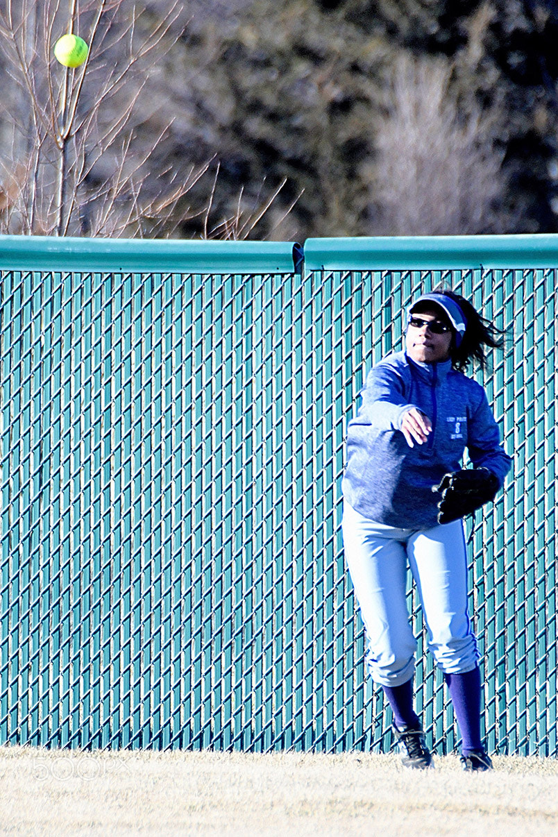 Nikon D500 sample photo. 3-14_0355.jpg photography