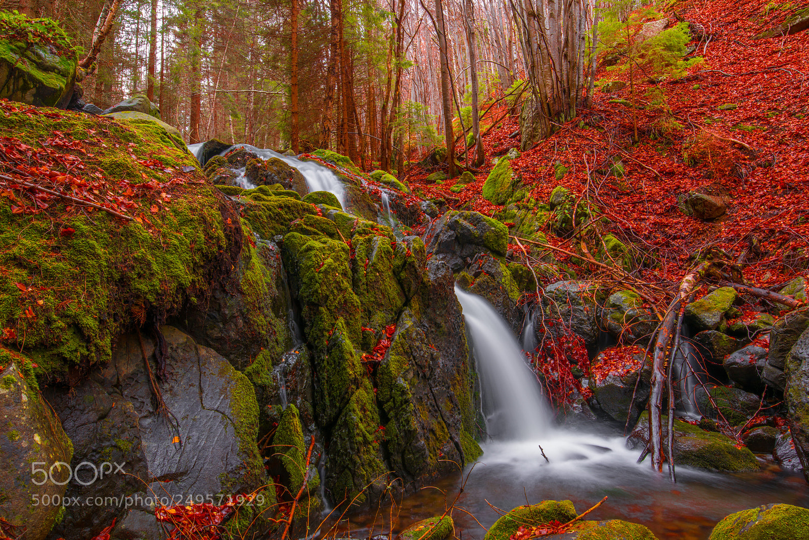 Nikon D810 sample photo. Autumn waterfall photography