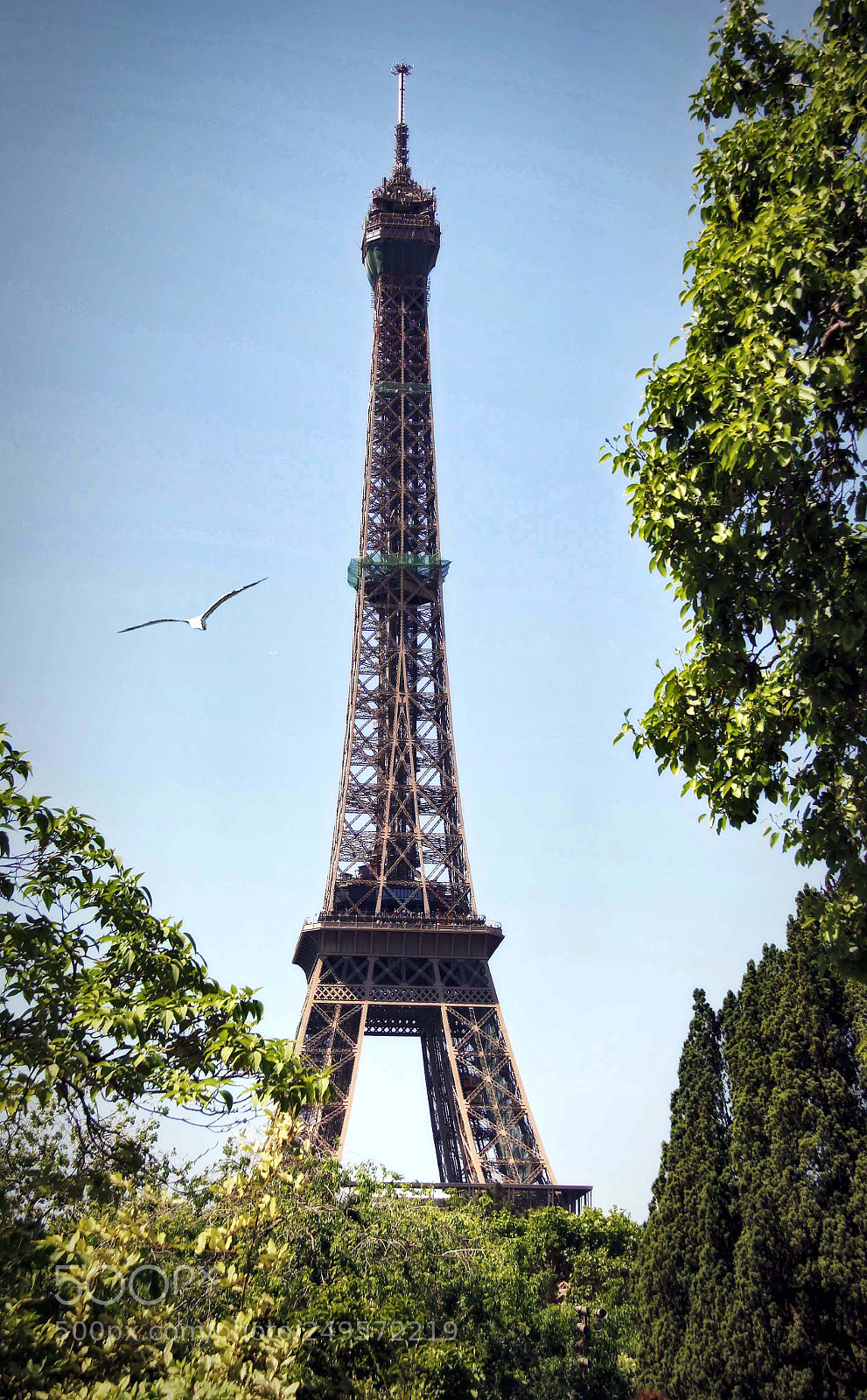 Canon EOS 50D sample photo. The eiffeltower photography