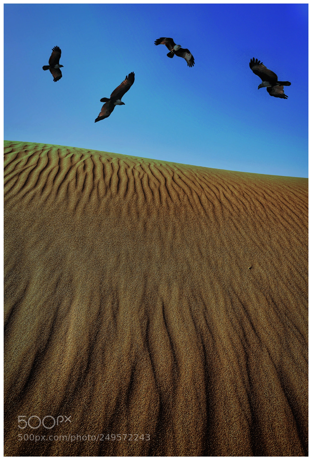 Nikon D800 sample photo. Xinjiang chna photography