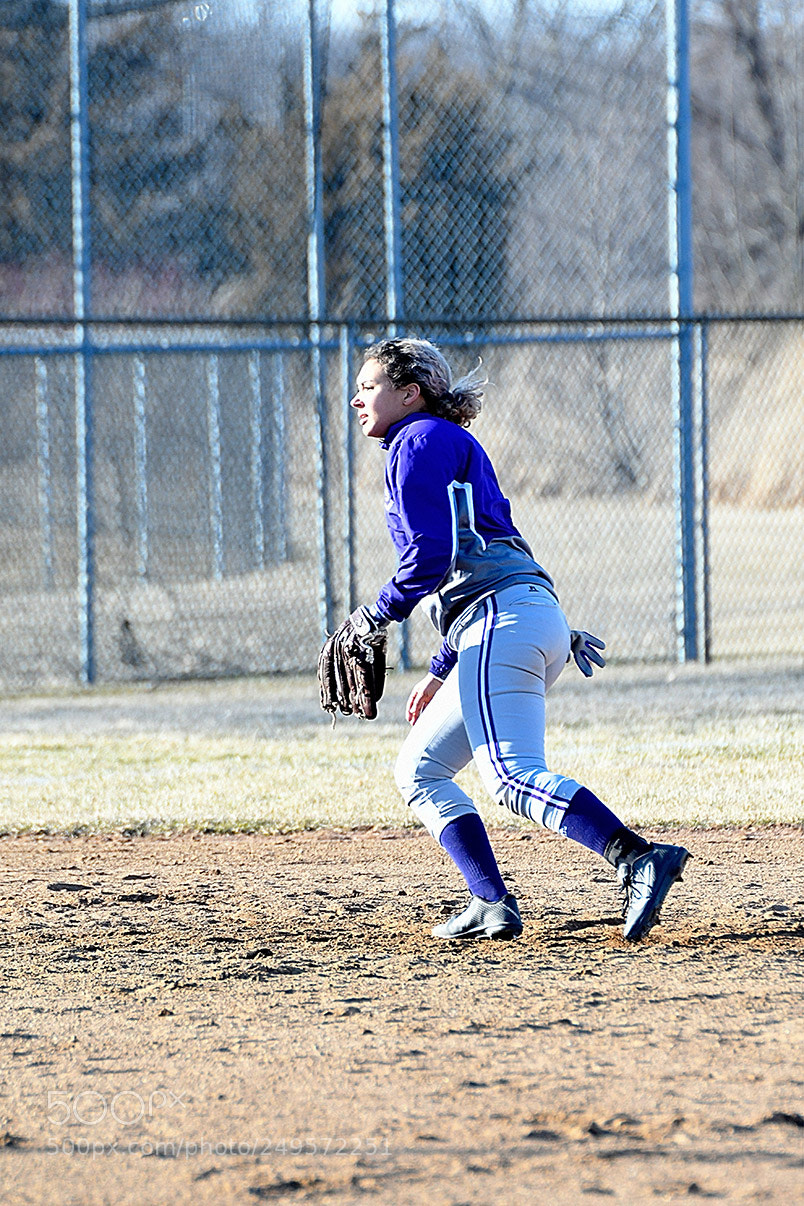 Nikon D500 sample photo. 3-14_0358.jpg photography