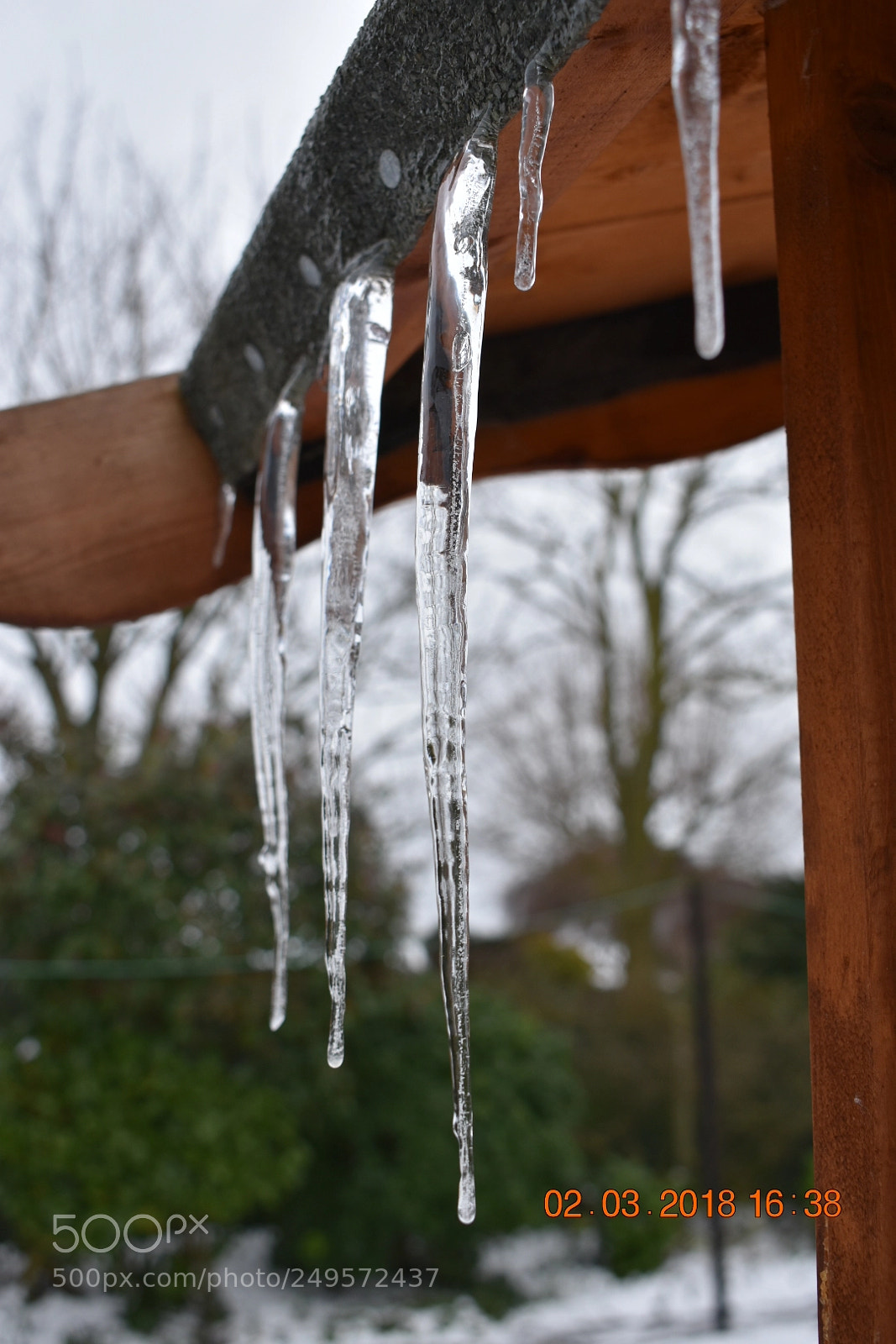 Nikon D3400 sample photo. Icicles photography