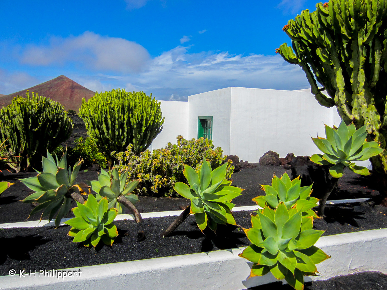 Canon PowerShot ELPH 300 HS (IXUS 220 HS / IXY 410F) sample photo. Lanzarote (spain), the front yard / der vorgarten photography