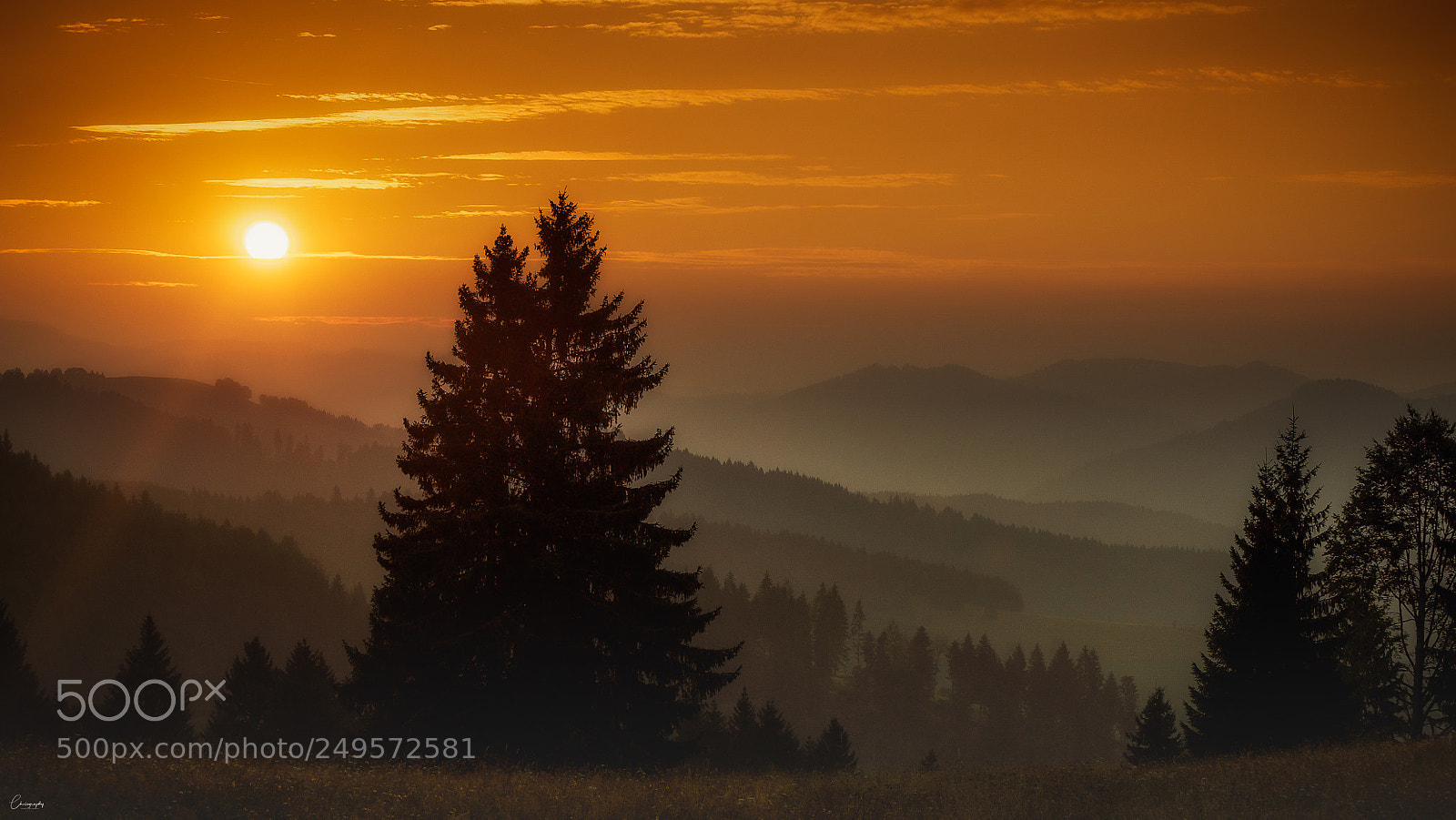 Nikon D5000 sample photo. Golden morning photography