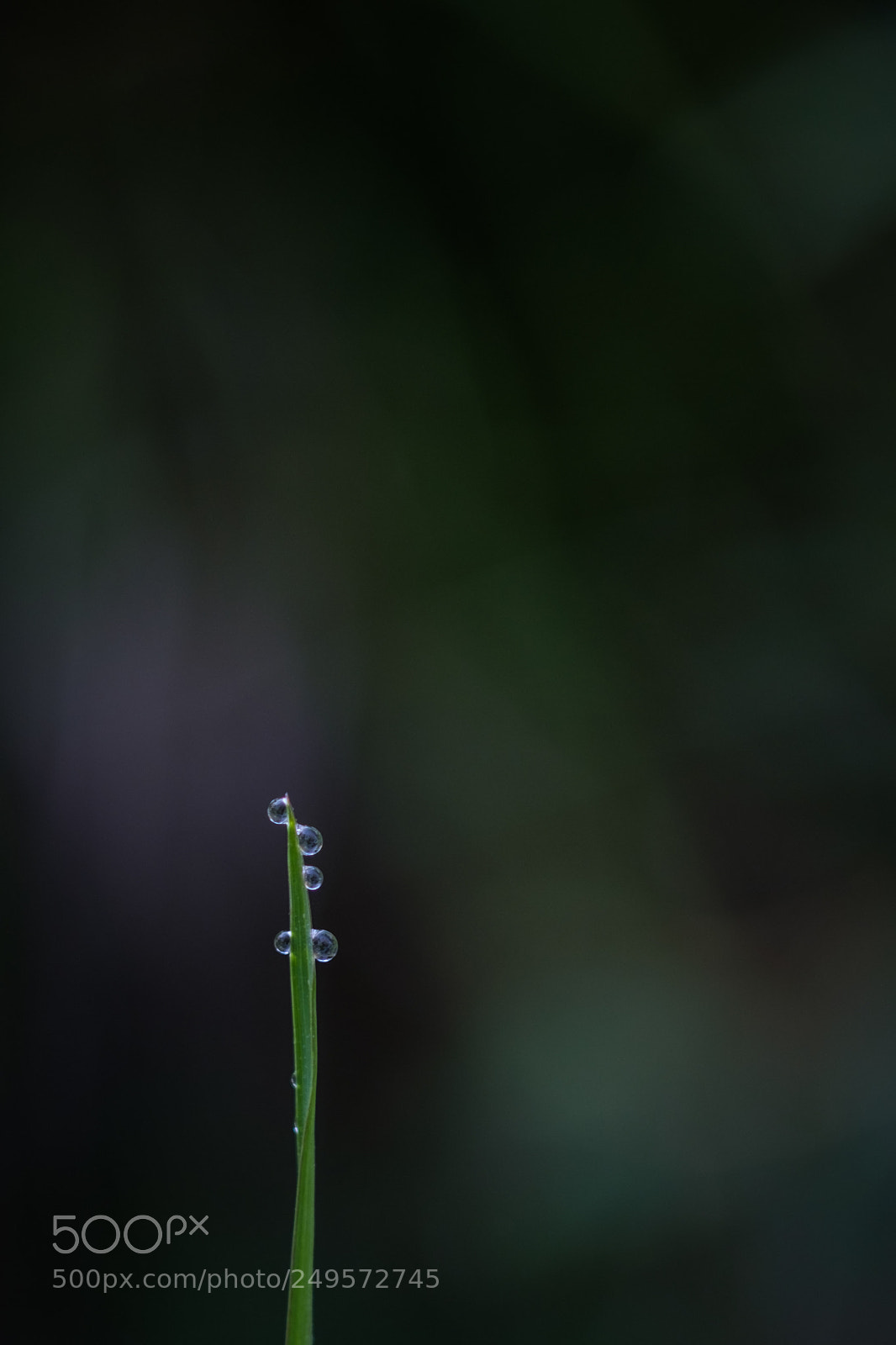 Fujifilm X-E3 sample photo. Minimalist photography