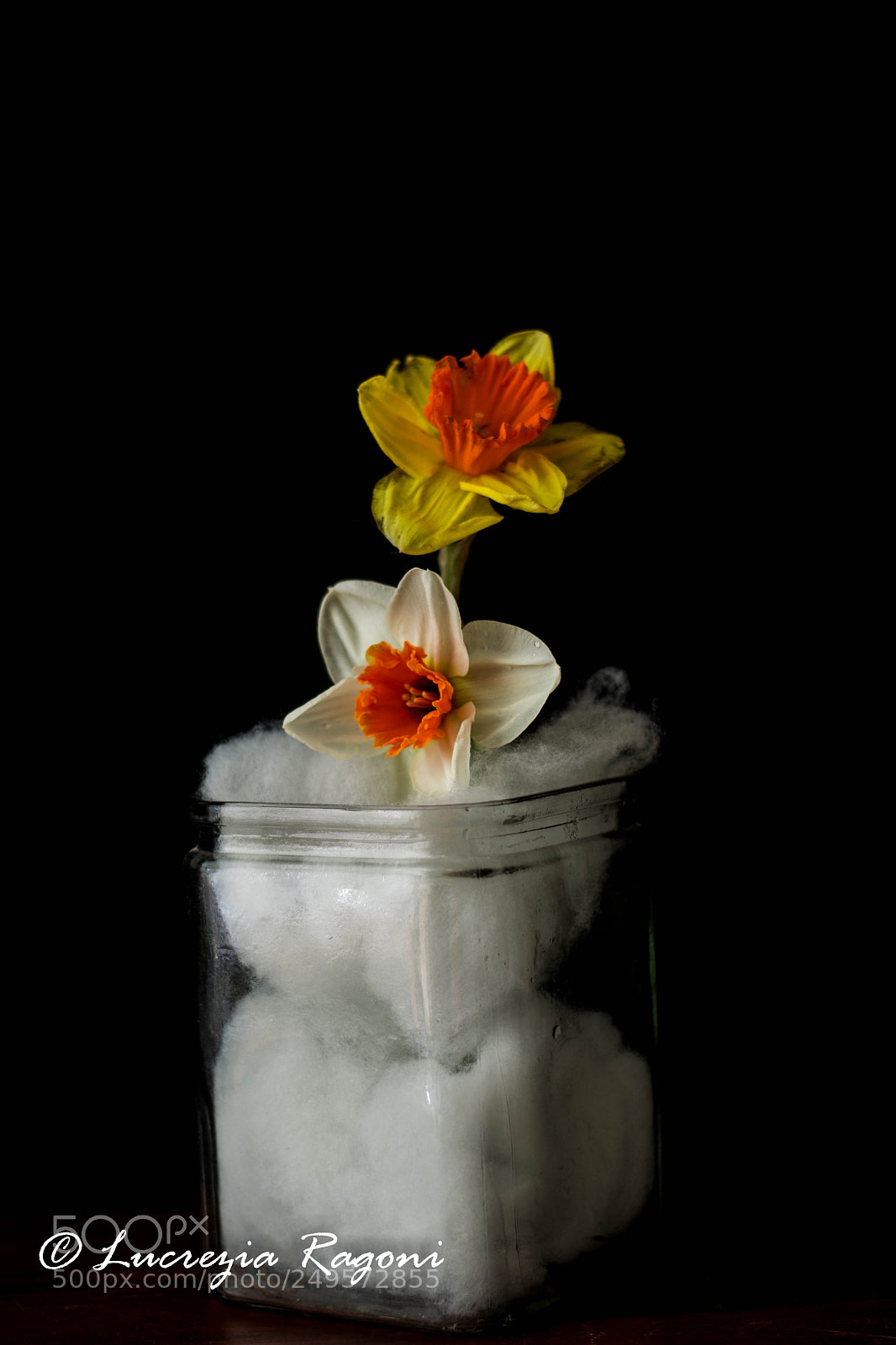 Nikon D5200 sample photo. Untitled photography