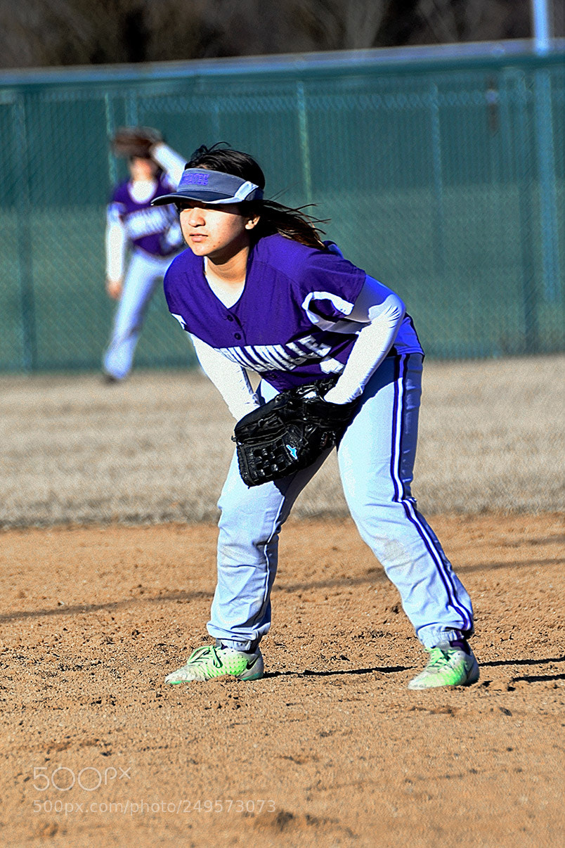 Nikon D500 sample photo. 3-14_0369.jpg photography