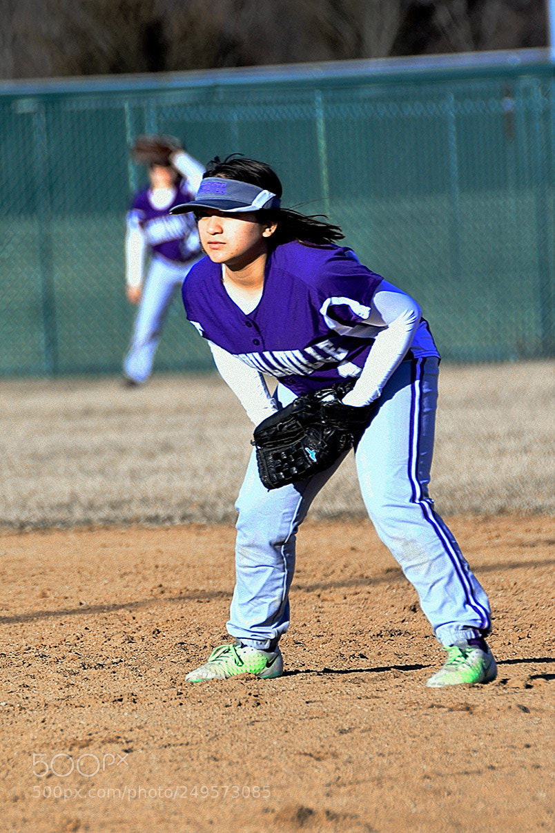 Nikon D500 sample photo. 3-14_0370.jpg photography