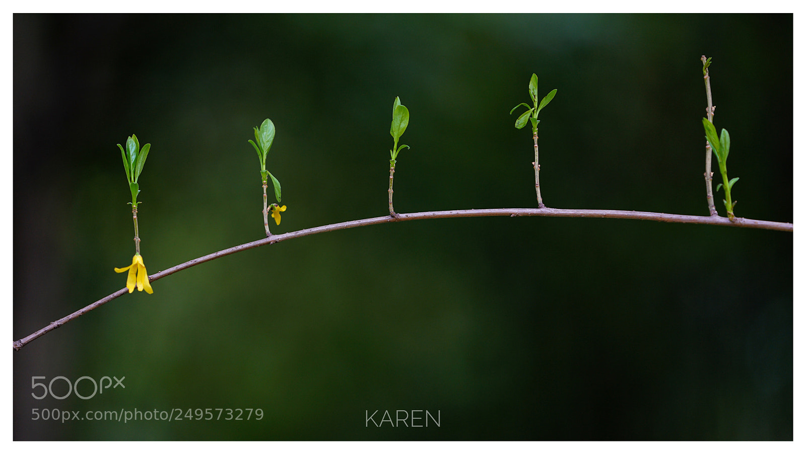 Sony a7R II sample photo. A line photography