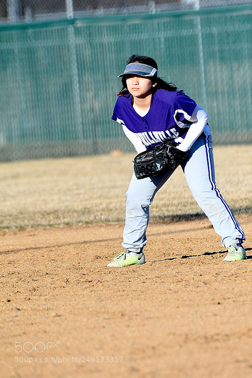 Nikon D500 sample photo. 3-14_0374.jpg photography