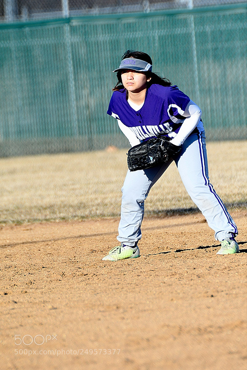 Nikon D500 sample photo. 3-14_0375.jpg photography
