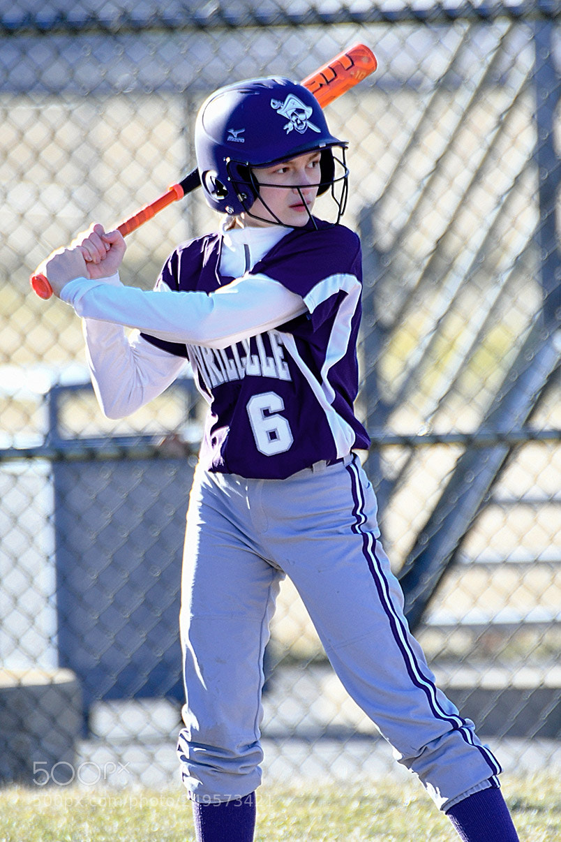 Nikon D500 sample photo. 3-14_0176.jpg photography