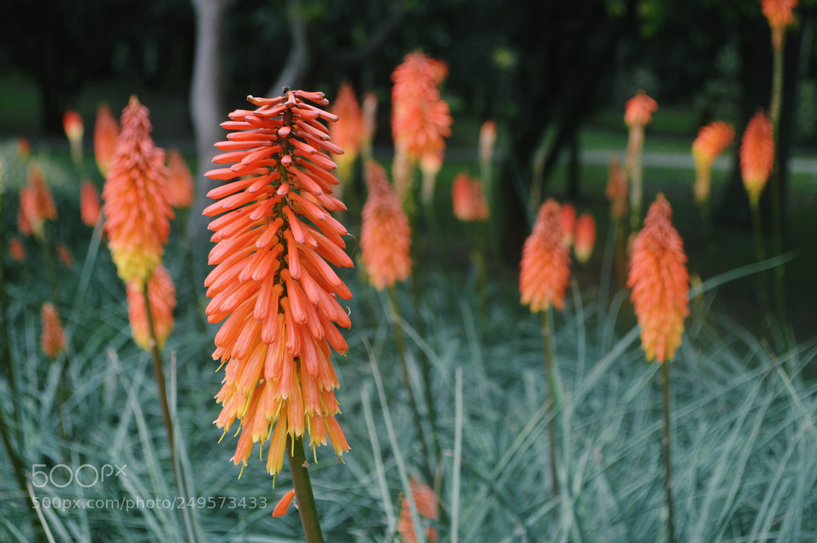 Nikon D3200 sample photo. Untitled photography