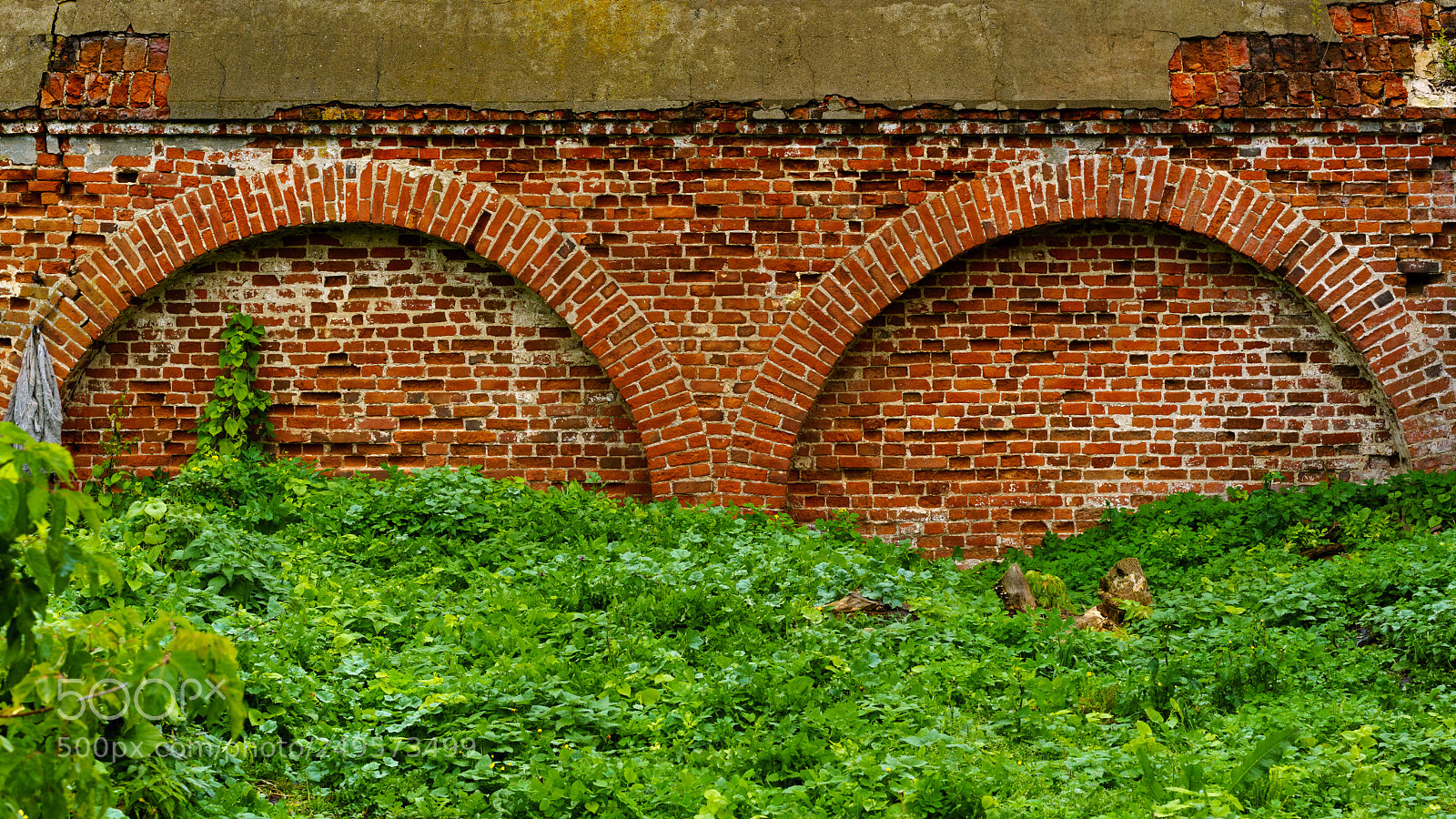 Sony a7R II sample photo. Suzdal 23 (red/green). photography