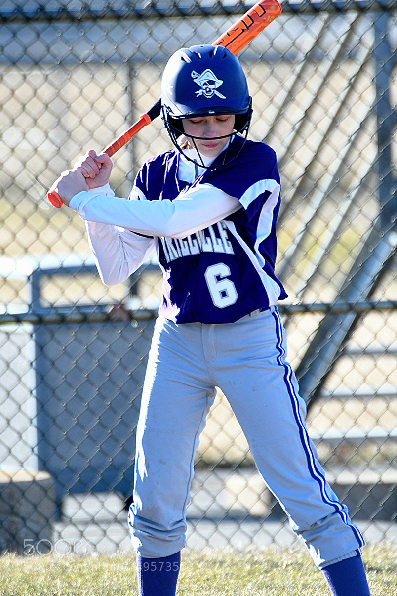 Nikon D500 sample photo. 3-14_0178.jpg photography