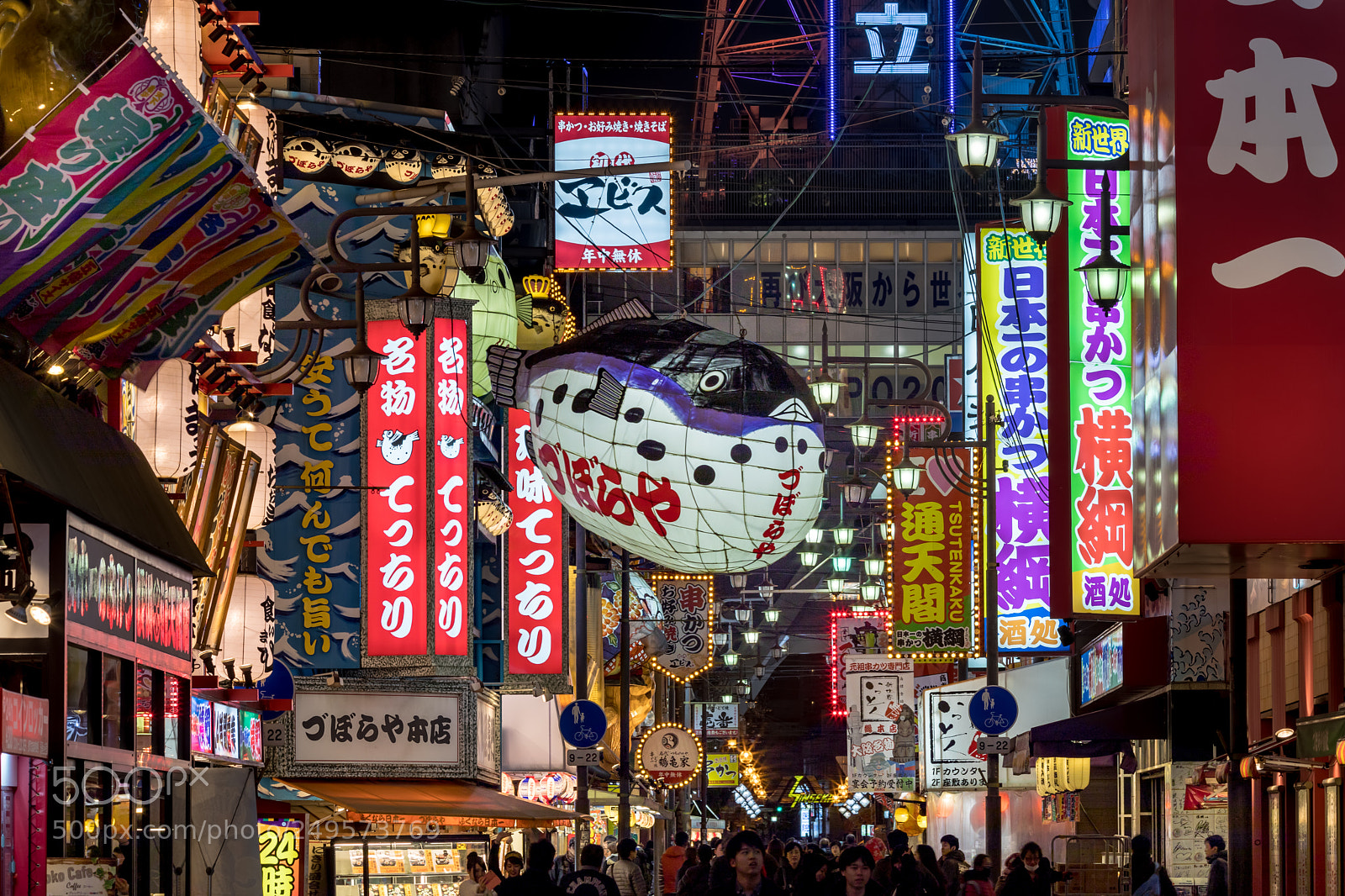 Canon EOS 5D Mark IV sample photo. The big blowfish photography