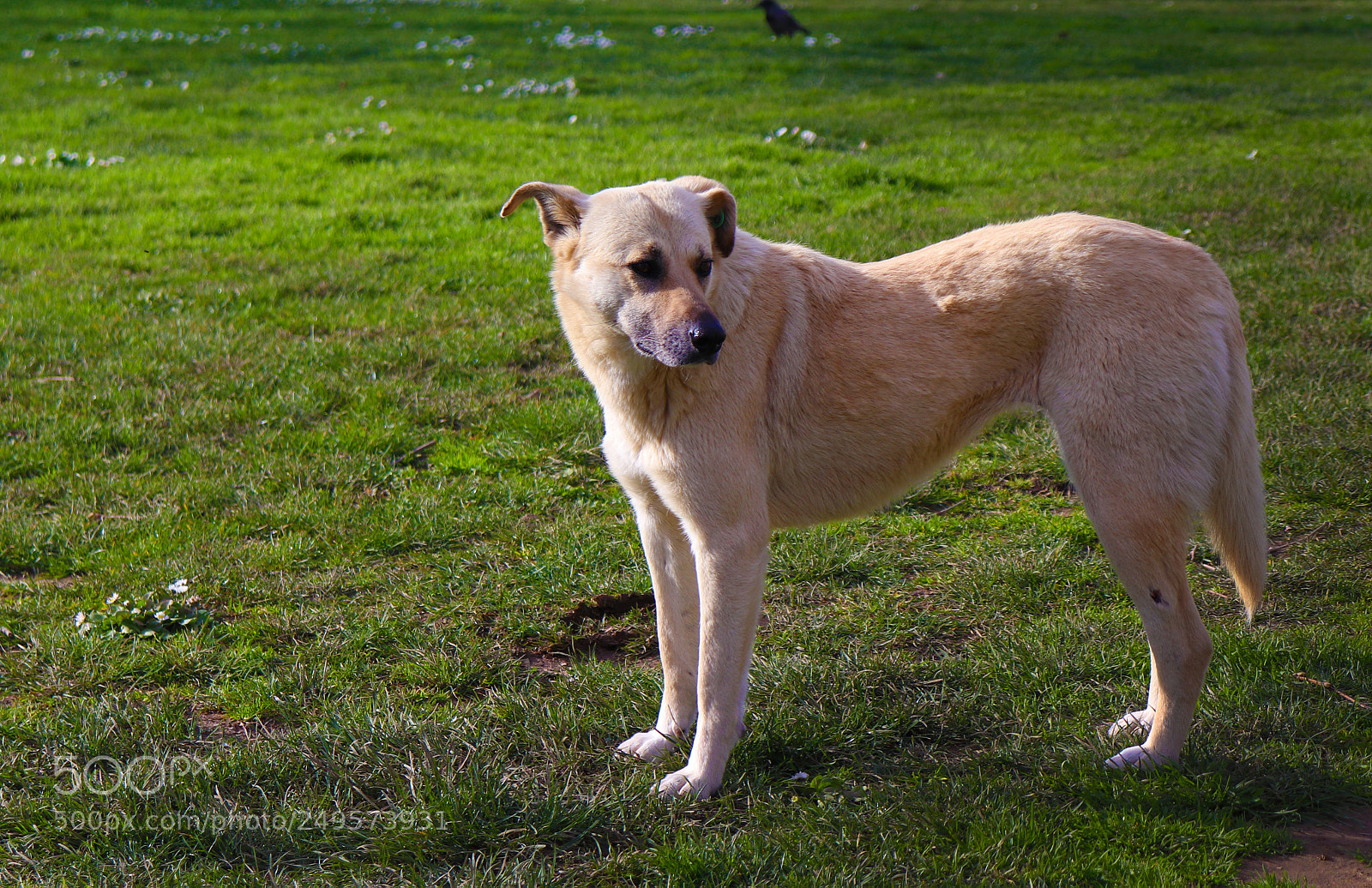 Canon EOS 77D (EOS 9000D / EOS 770D) sample photo. Img photography