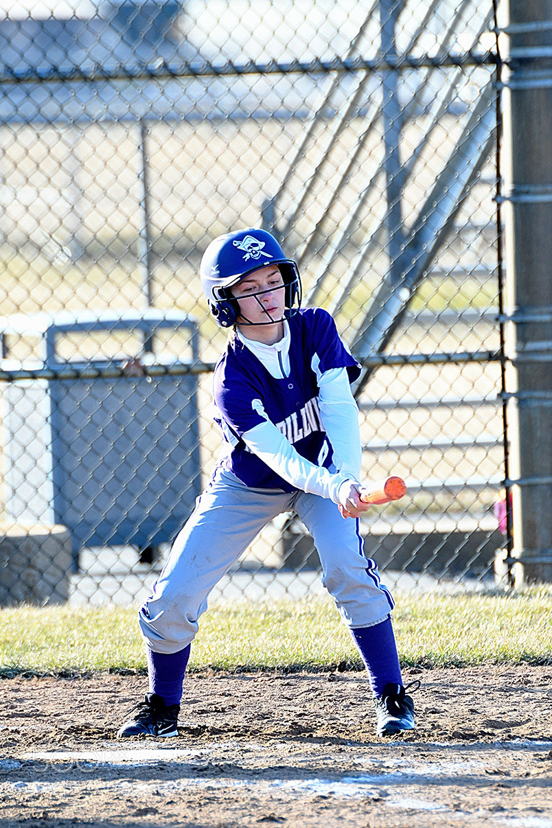 Nikon D500 sample photo. 3-14_0184.jpg photography