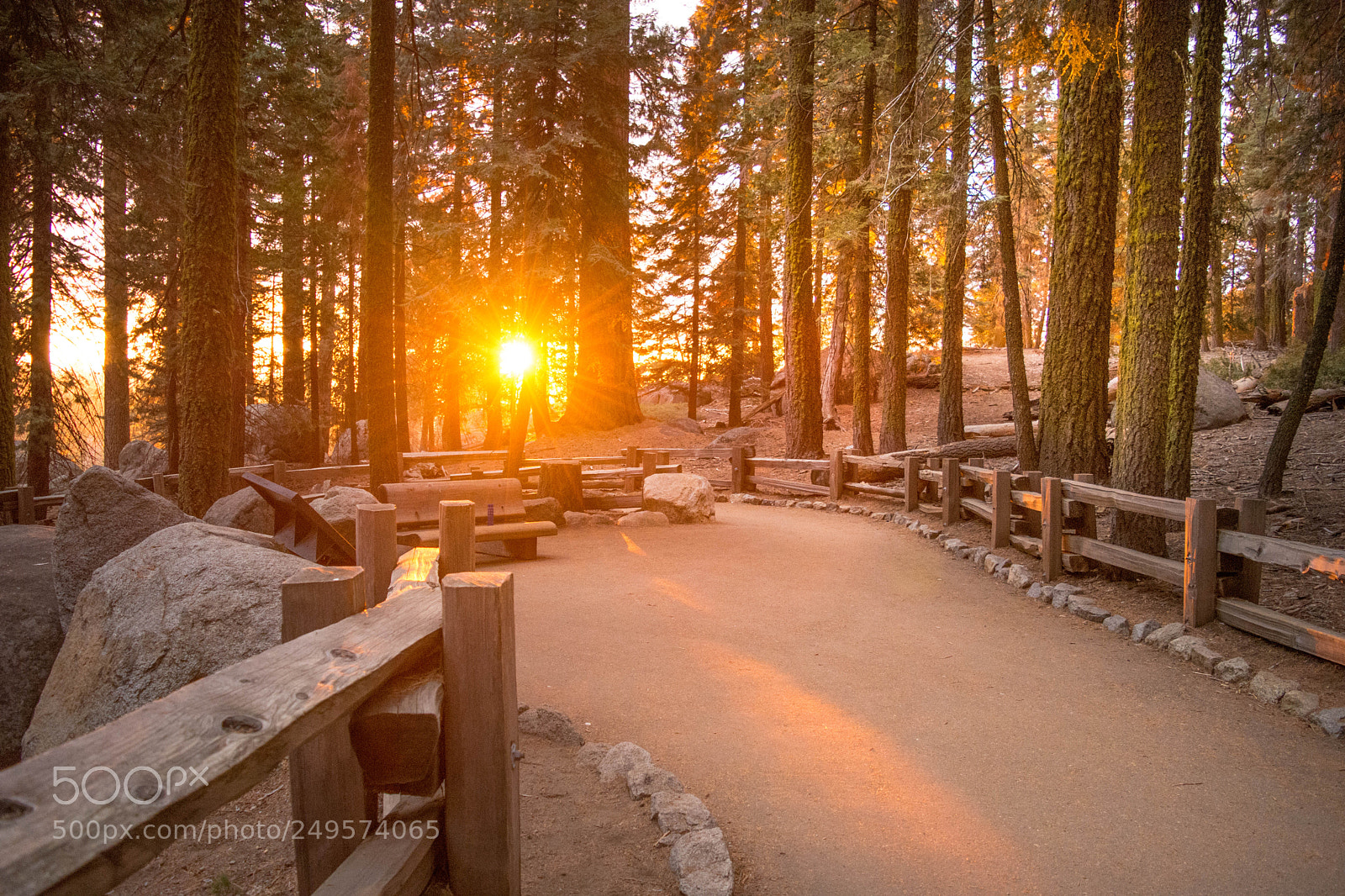 Nikon D7200 sample photo. Sunset in sequoia national photography