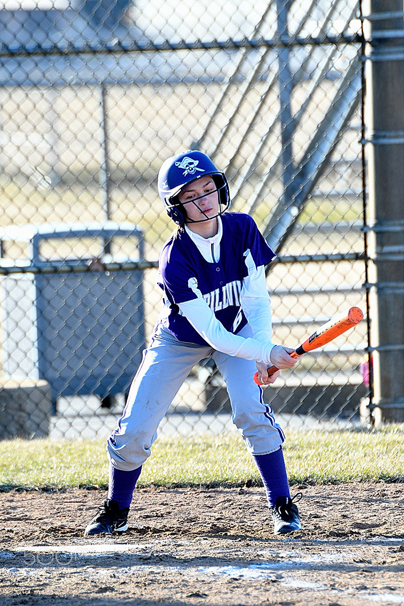 Nikon D500 sample photo. 3-14_0185.jpg photography