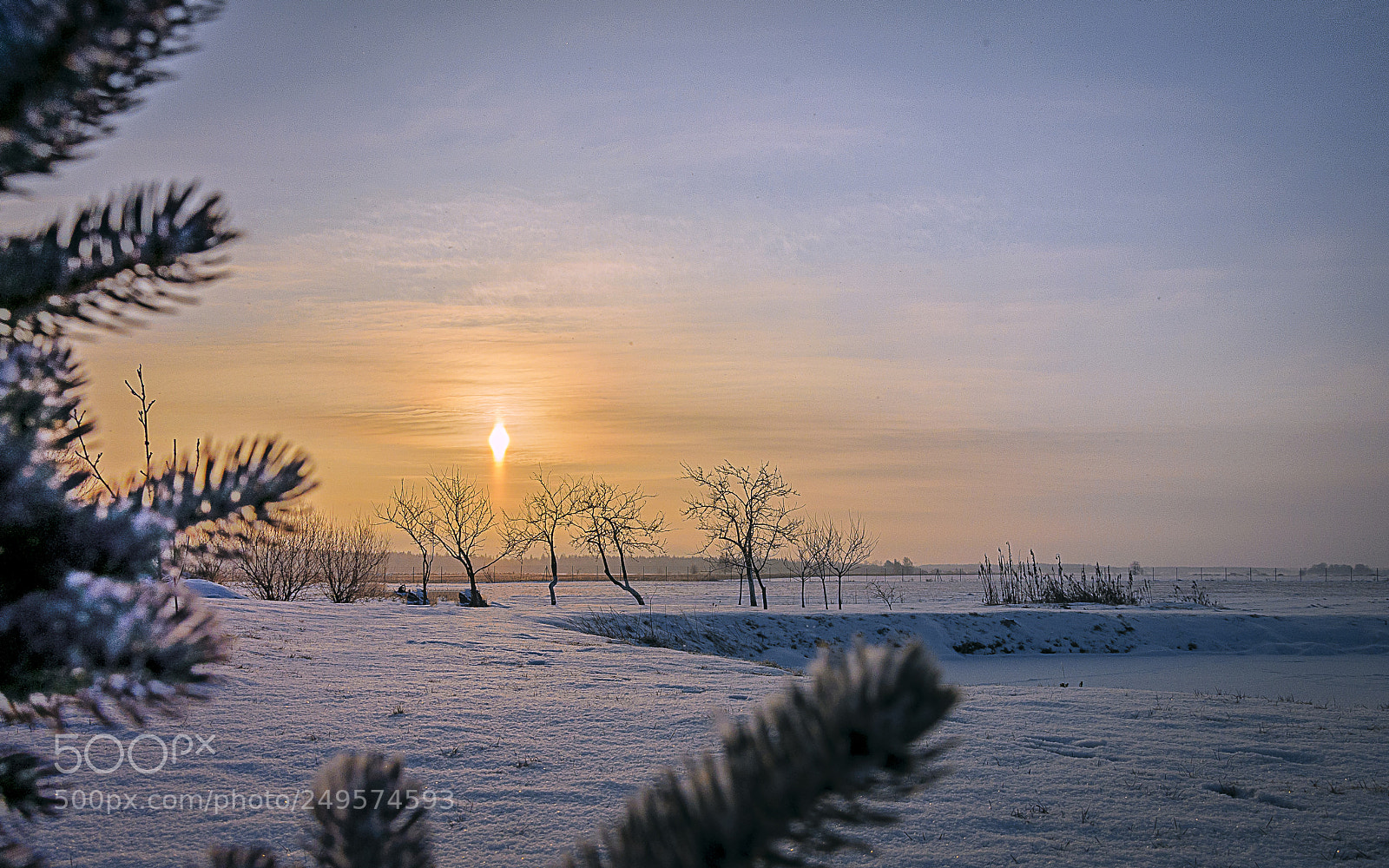 Nikon D90 sample photo. Pakubeliai winter sun photography