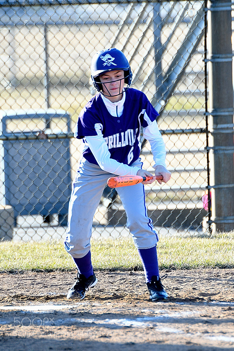 Nikon D500 sample photo. 3-14_0190.jpg photography