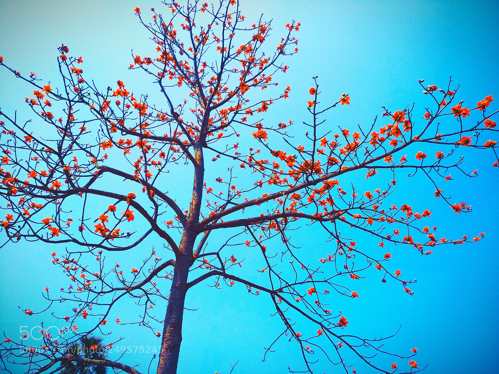 Xiaomi Redmi 4 Pro sample photo. Untitled photography