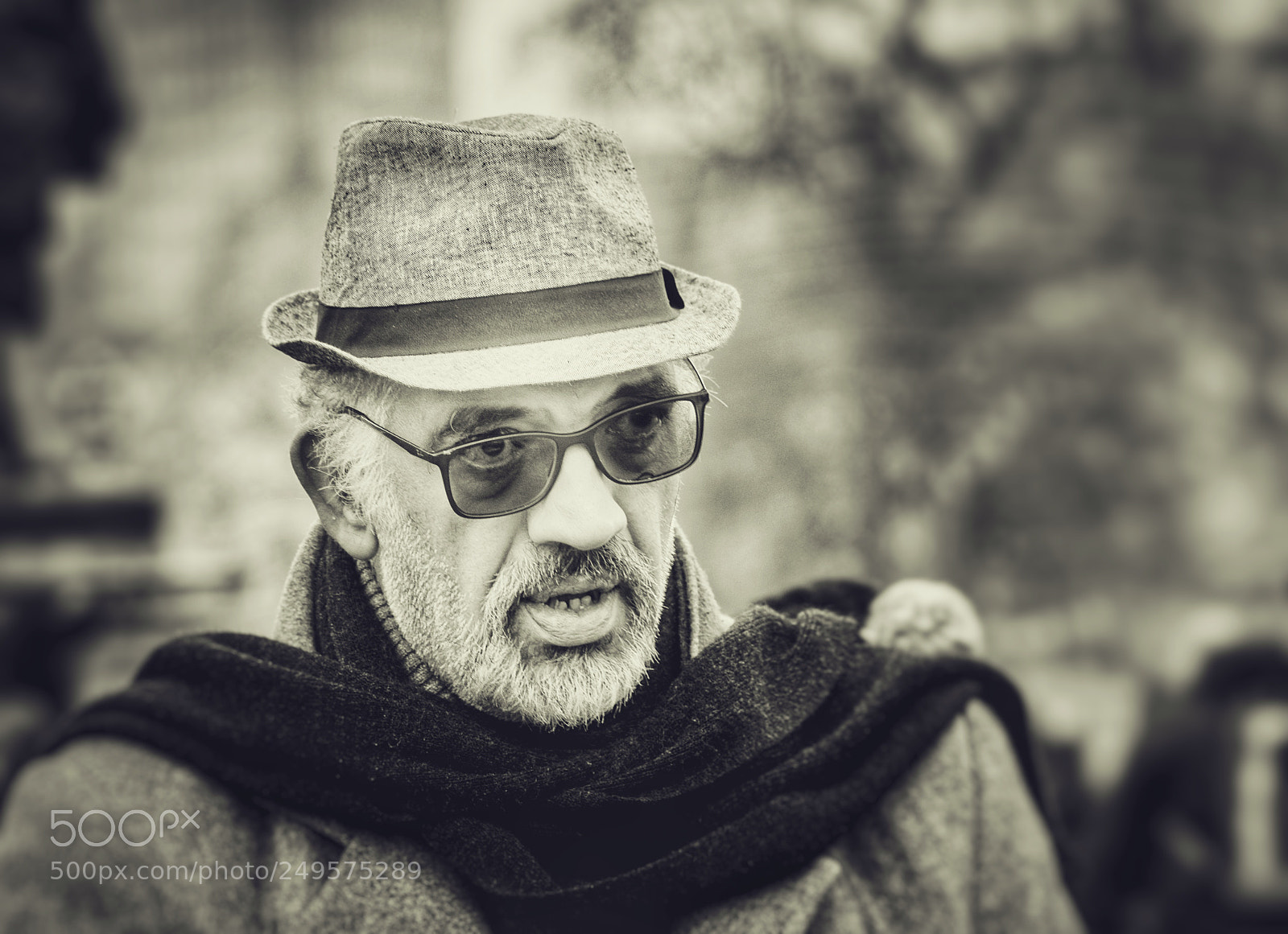 Nikon D500 sample photo. Smooth operator photography