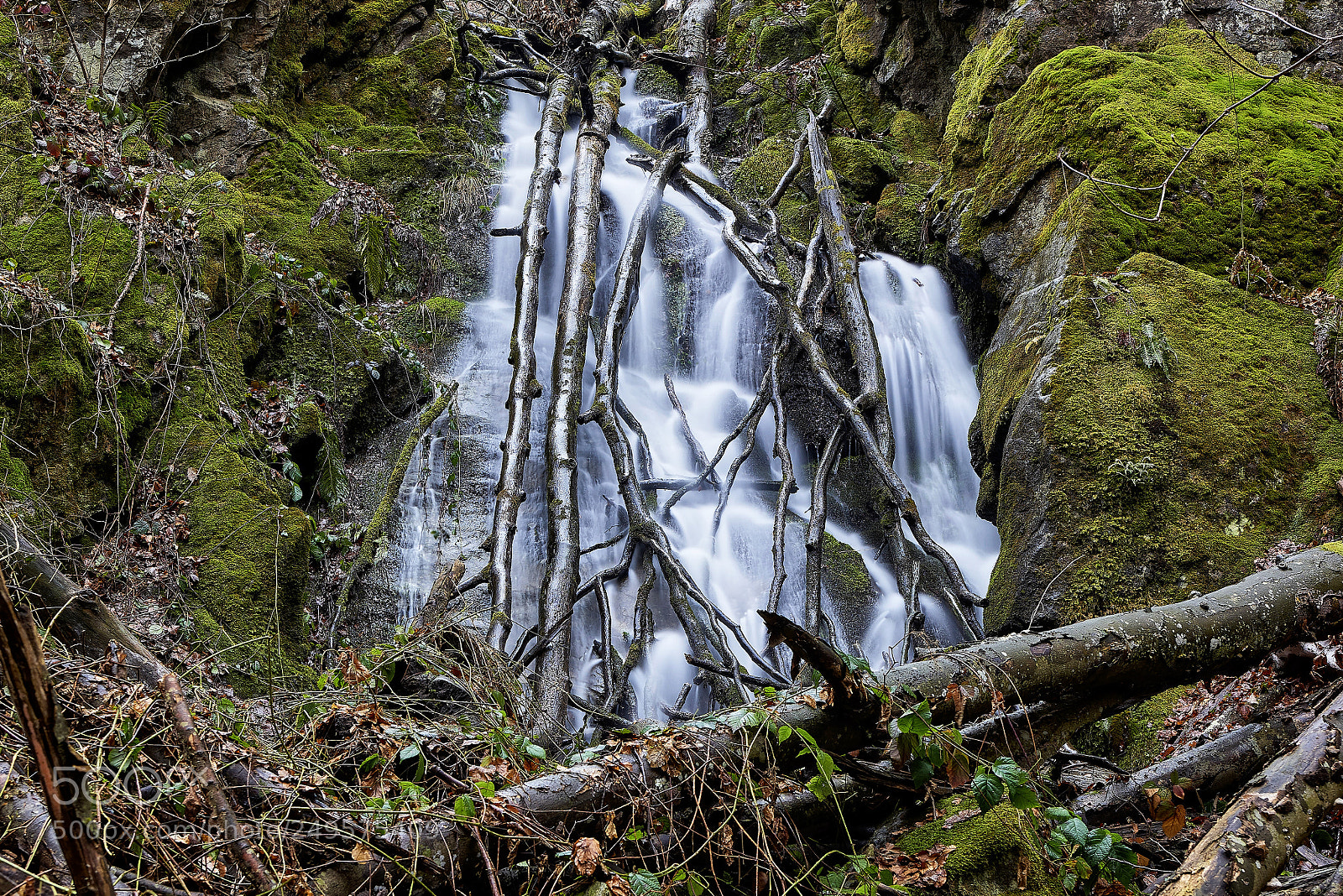 Nikon D810 sample photo. Beautiful force photography