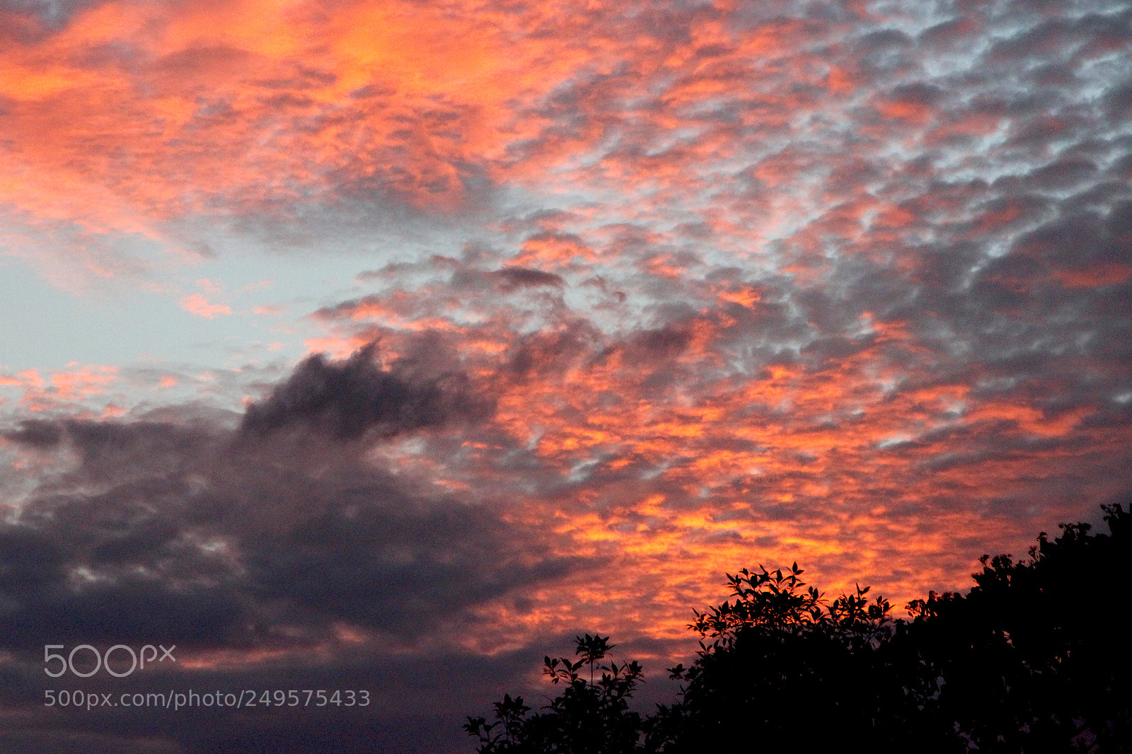 Canon EOS 600D (Rebel EOS T3i / EOS Kiss X5) sample photo. Pink-blotched sky in singapore photography