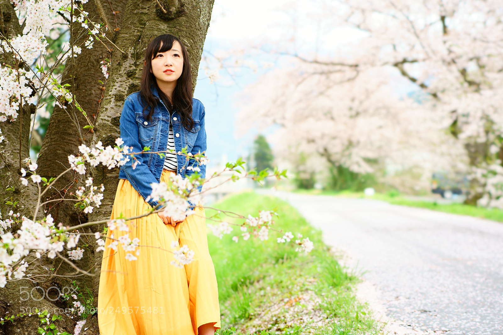 Sony a7 II sample photo. 勝山 photography