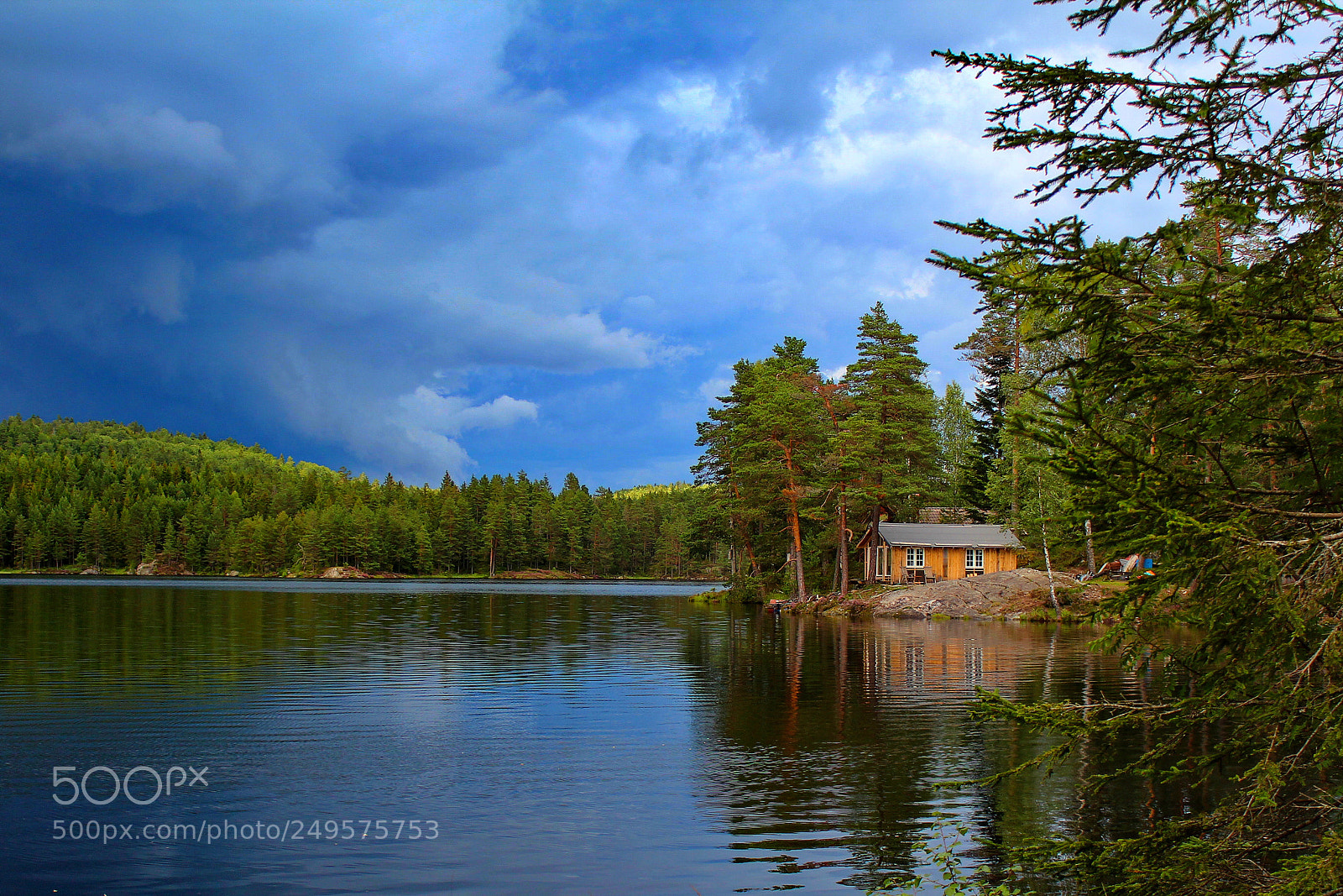 Canon EOS 600D (Rebel EOS T3i / EOS Kiss X5) sample photo. Pine tree lake house photography