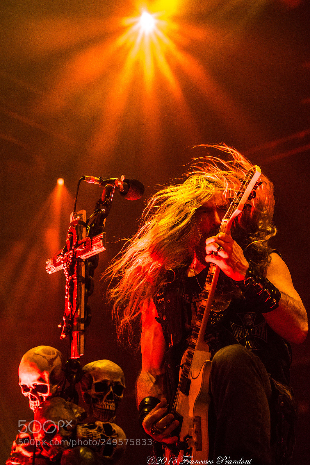 Nikon D5 sample photo. Foto concerto black label photography