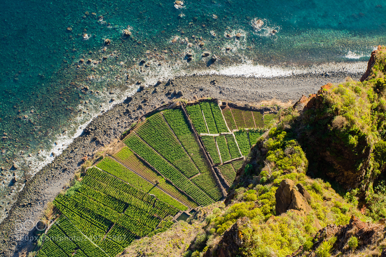 Nikon D7100 sample photo. Madeira vi photography
