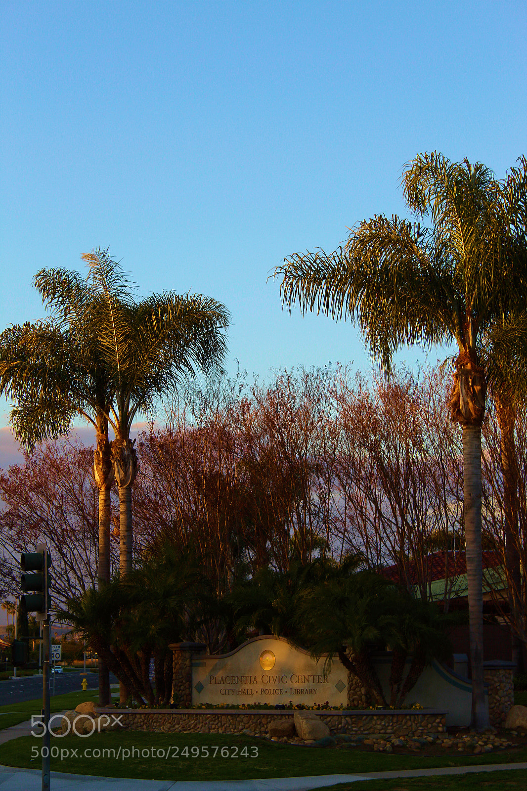 Canon EOS 1300D (EOS Rebel T6 / EOS Kiss X80) sample photo. Placentia photography