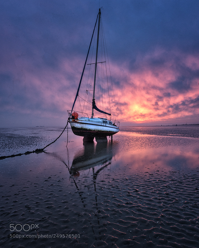 Nikon D800 sample photo. Sun up, sky changed photography